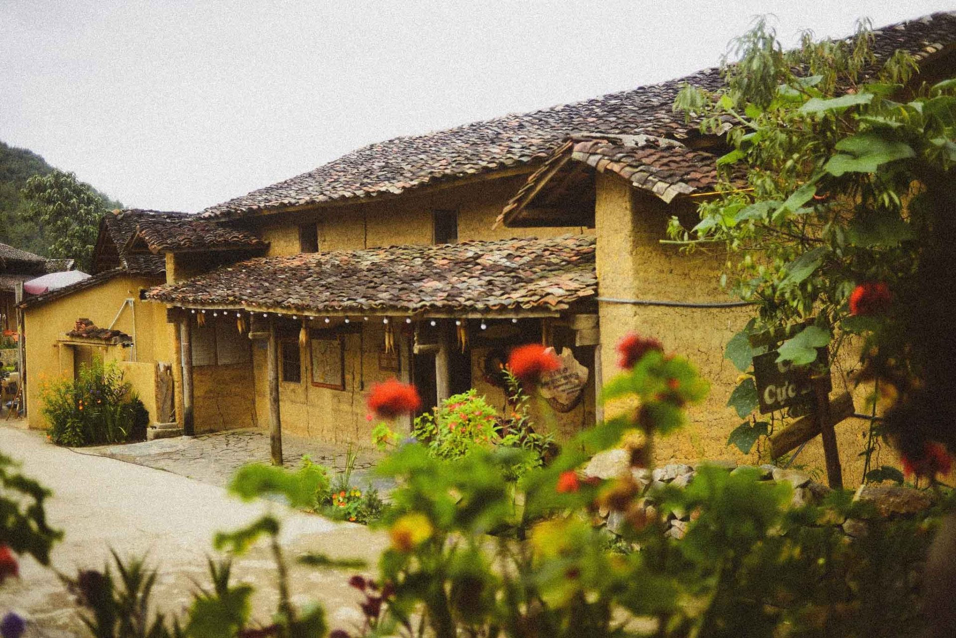 Thu về trên bản Lô Lô Chải ảnh 8 Thu về trên bản Lô Lô Chải ảnh 8