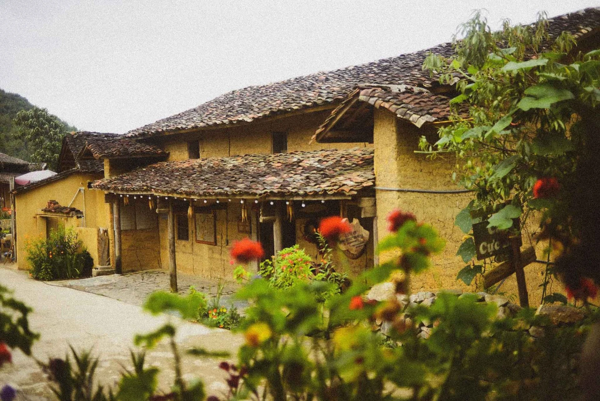 Thu về trên bản Lô Lô Chải ảnh 8