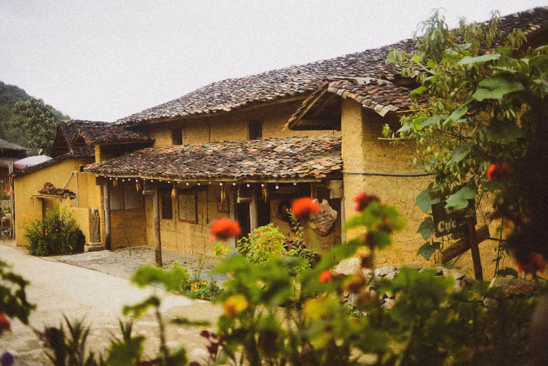 Thu về trên bản Lô Lô Chải ảnh 8 Thu về trên bản Lô Lô Chải ảnh 8