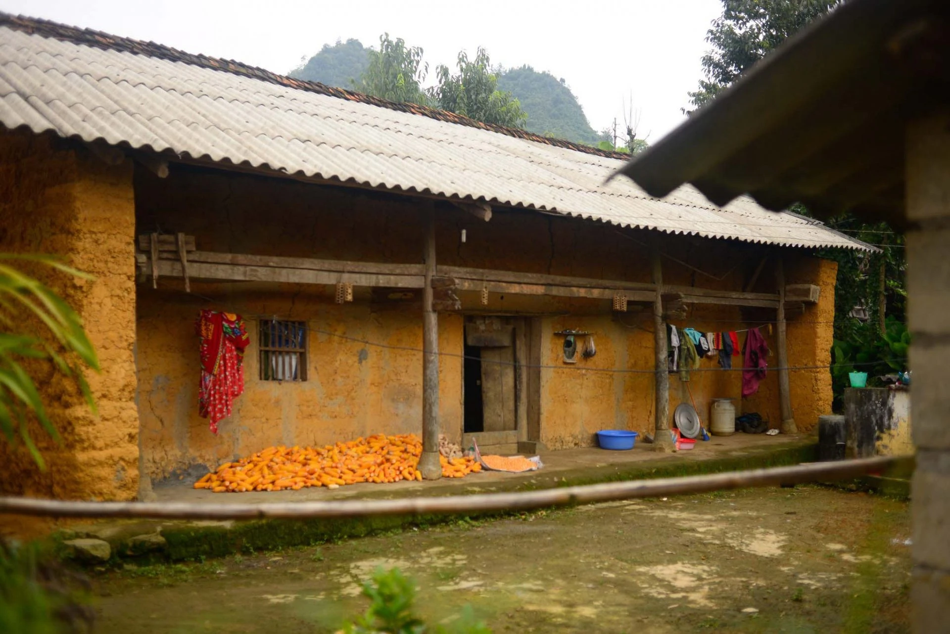 Thu về trên bản Lô Lô Chải ảnh 9