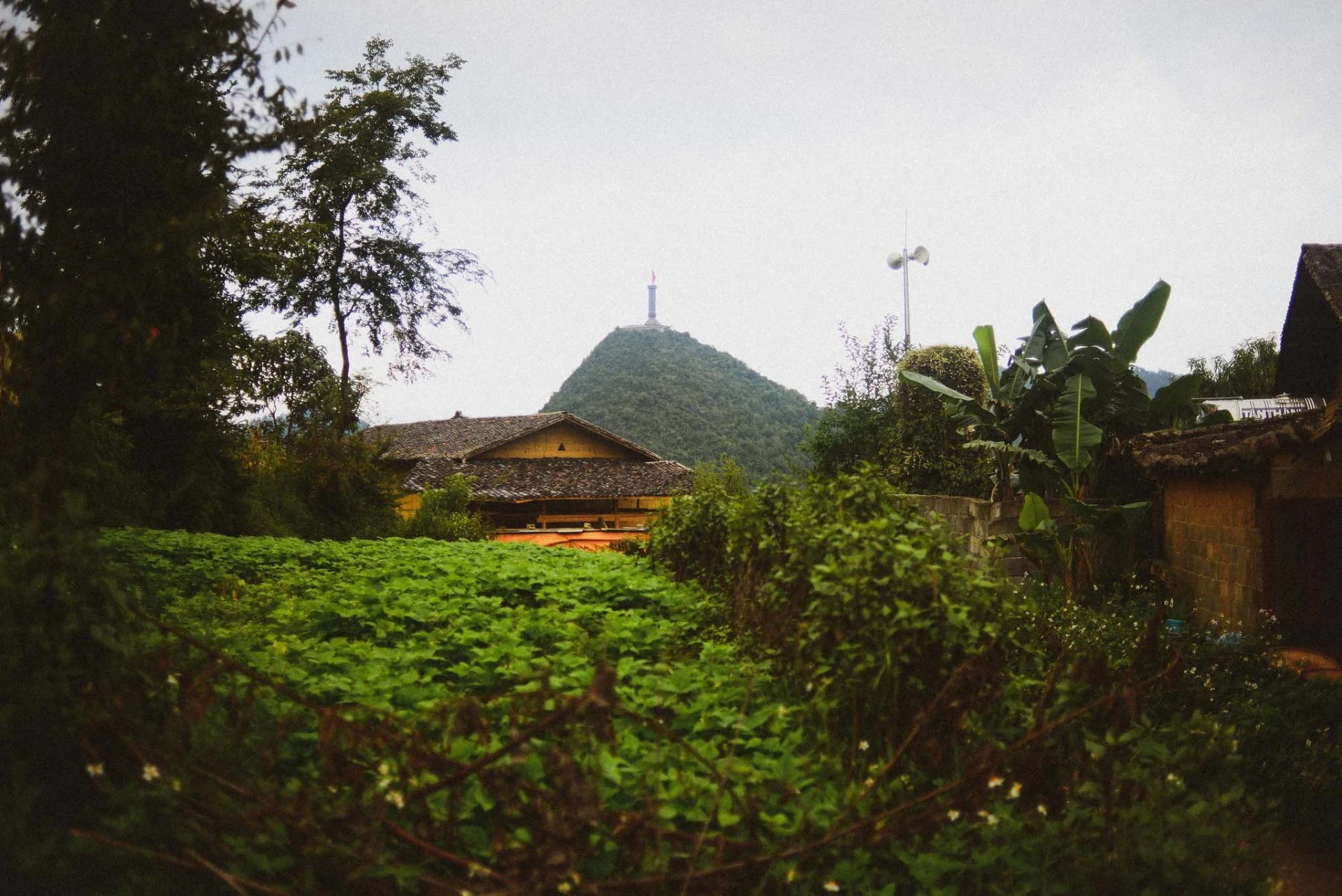 Thu về trên bản Lô Lô Chải ảnh 10