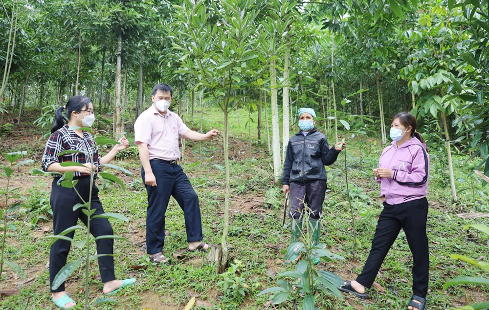Đại diện Tổ tiết kiệm và vay vốn xã Quang Kim (Bát Xát) và cán bộ Ngân hàng Chính sách xã hội huyện tư vấn phát triển kinh tế cho tổ viên.