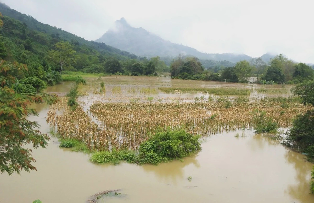 Mưa lũ gây thiệt hại tại nhiều địa phương trong tỉnh ảnh 5