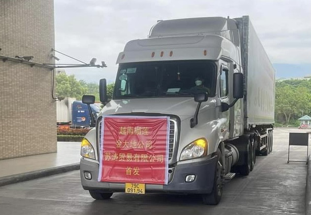 Lần đầu tiên quả sầu riêng xuất khẩu chính ngạch qua Cửa khẩu Quốc tế đường bộ số II Kim Thành ảnh 2 Lần đầu tiên quả sầu riêng xuất khẩu chính ngạch qua Cửa khẩu Quốc tế đường bộ số II Kim Thành ảnh 2