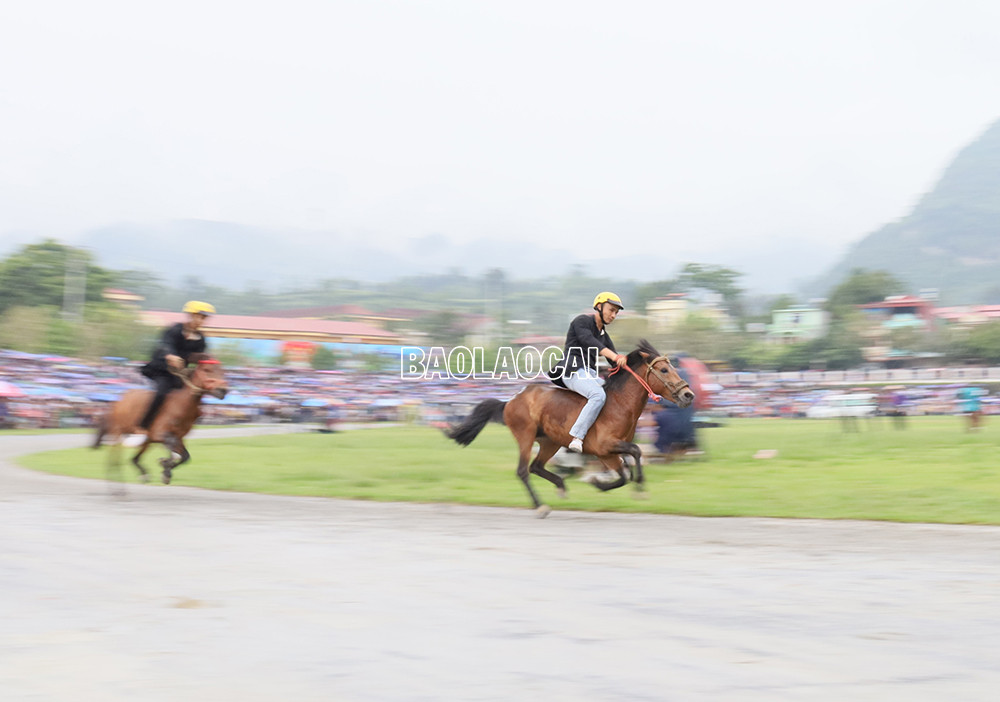 Kịch tính Chung kết Giải đua “Vó ngựa Cao nguyên trắng Bắc Hà mùa hè năm 2022” ảnh 6