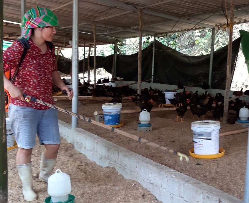 Nâng cao vai trò lãnh đạo của Đảng trong phát triển kinh tế ảnh 4