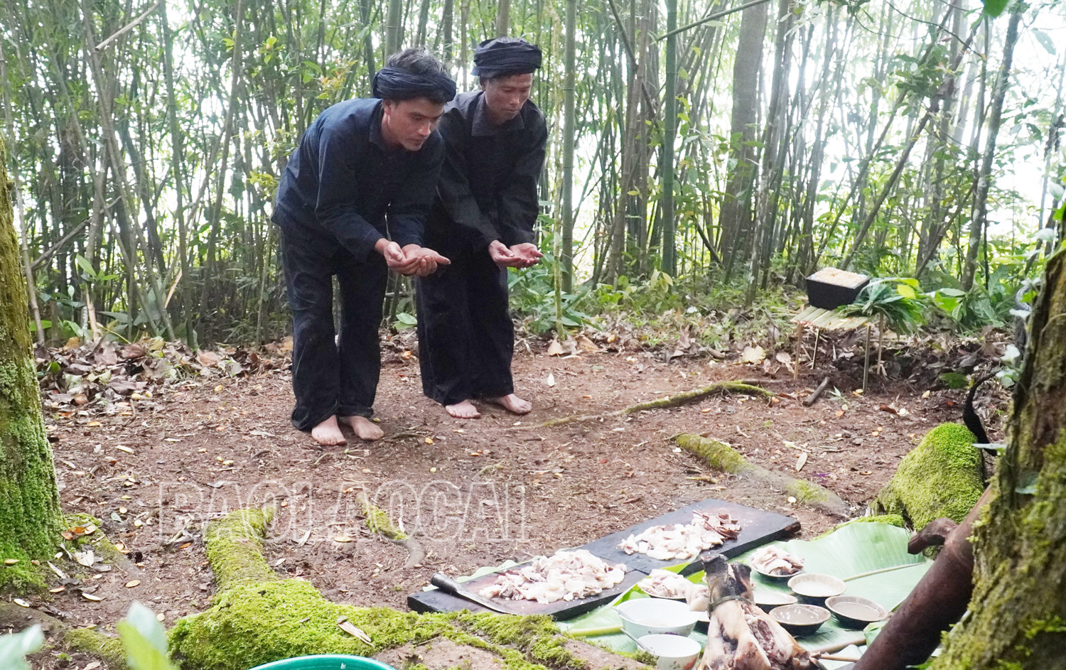 Lễ cúng rừng của người Hà Nhì (Bát Xát).