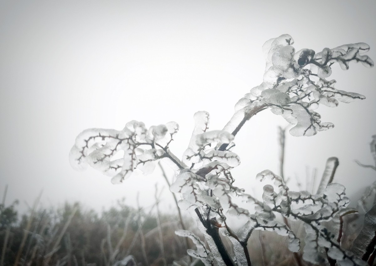 Từ sáng sớm 20/2, băng giá đã phủ kín đỉnh Lảo Thẩn.