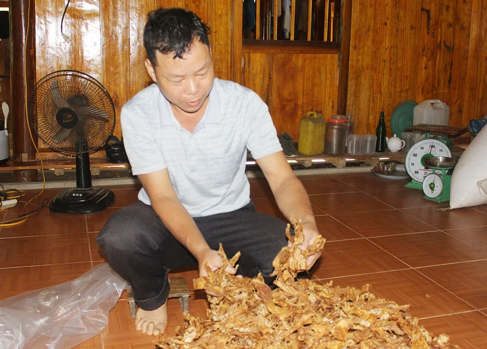 Kiểm tra măng khô trước khi giao đến tay người tiêu dùng.