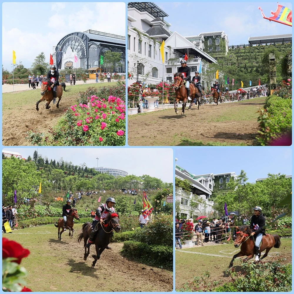 Các vòng đua diễn ra gay cấn, quyết liệt.