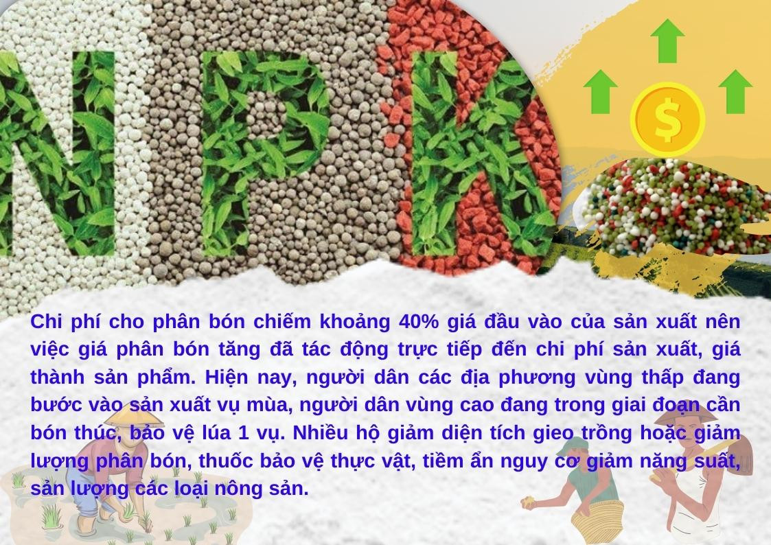 Vật tư nông nghiệp tăng giá: Thách thức mở ra cơ hội ảnh 2 Vật tư nông nghiệp tăng giá: Thách thức mở ra cơ hội ảnh 2