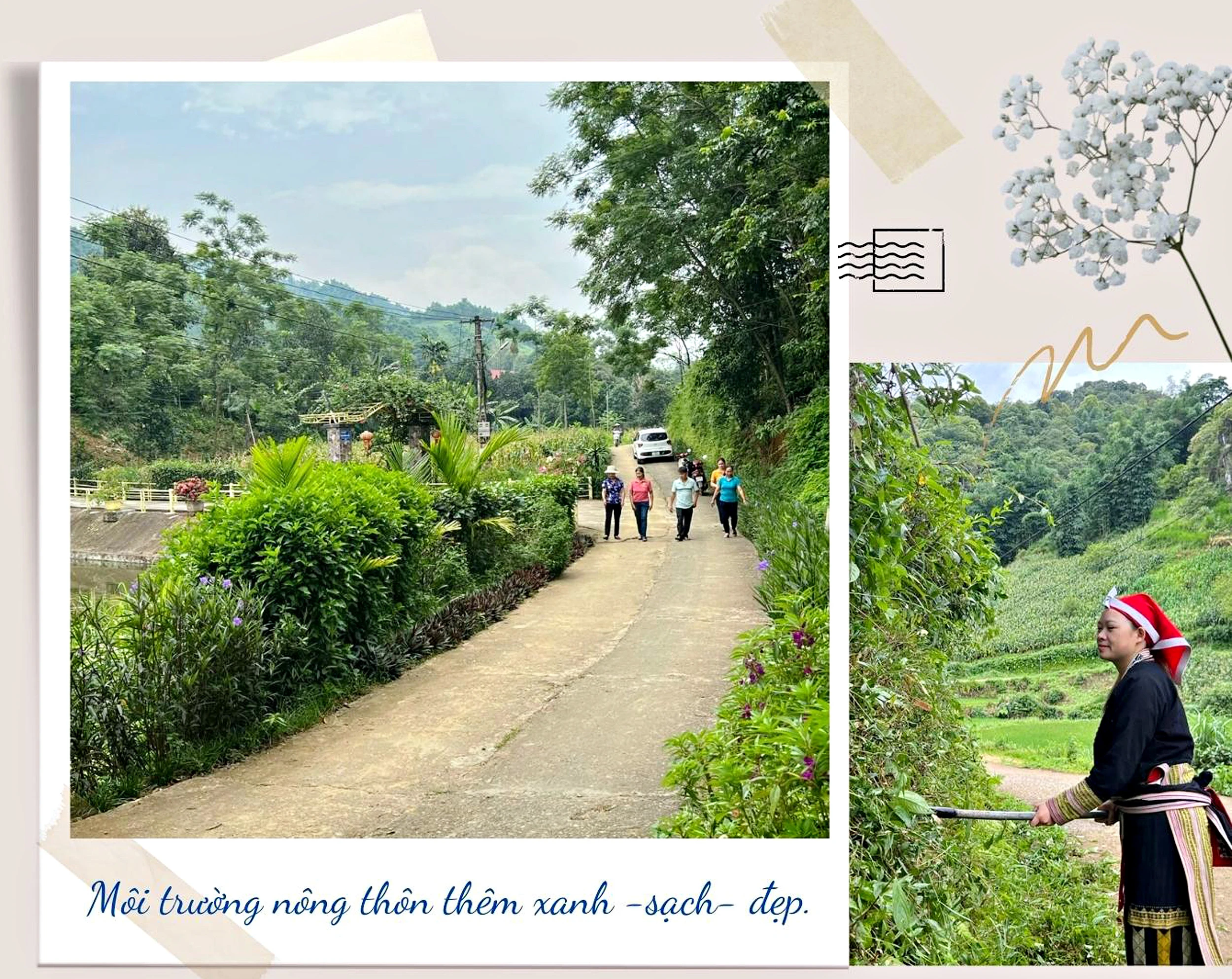 Những Chủ nhật xanh ảnh 8