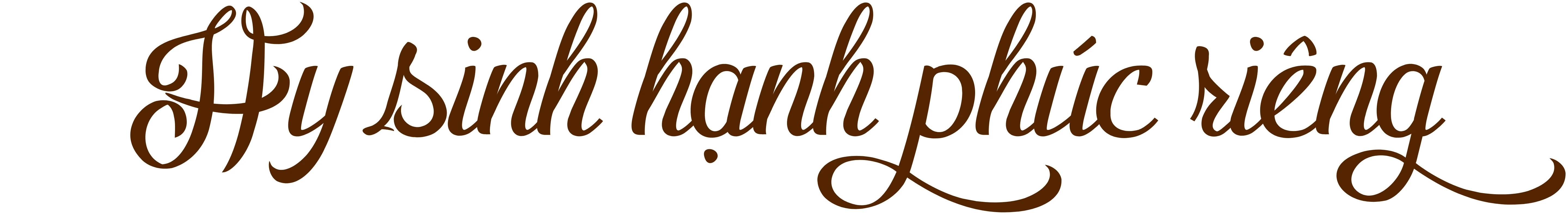 Hạnh phúc ngược về phía núi ảnh 2