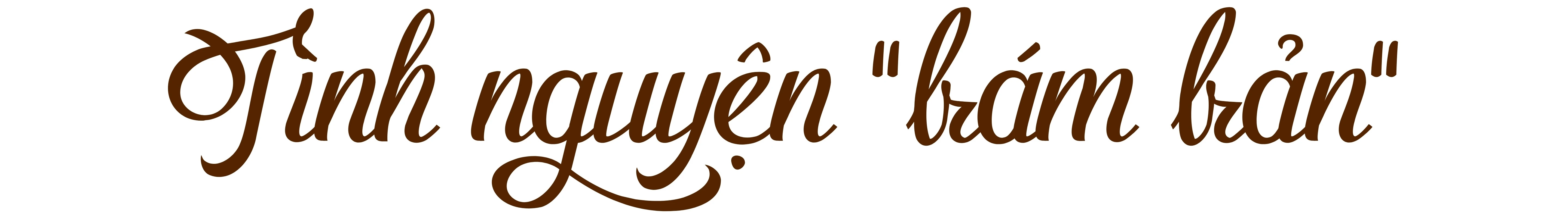 Hạnh phúc ngược về phía núi ảnh 6