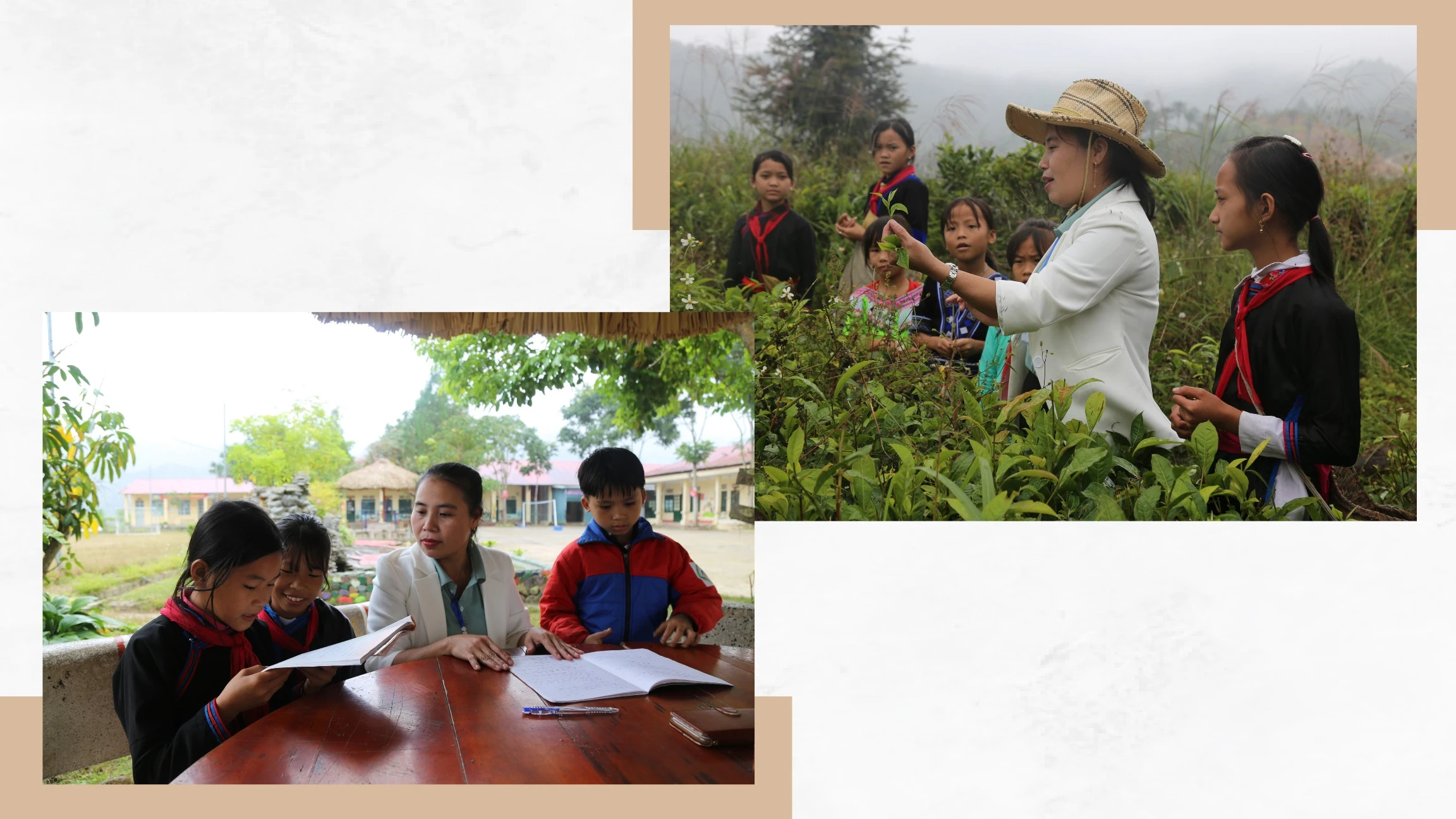 Hạnh phúc ngược về phía núi ảnh 3