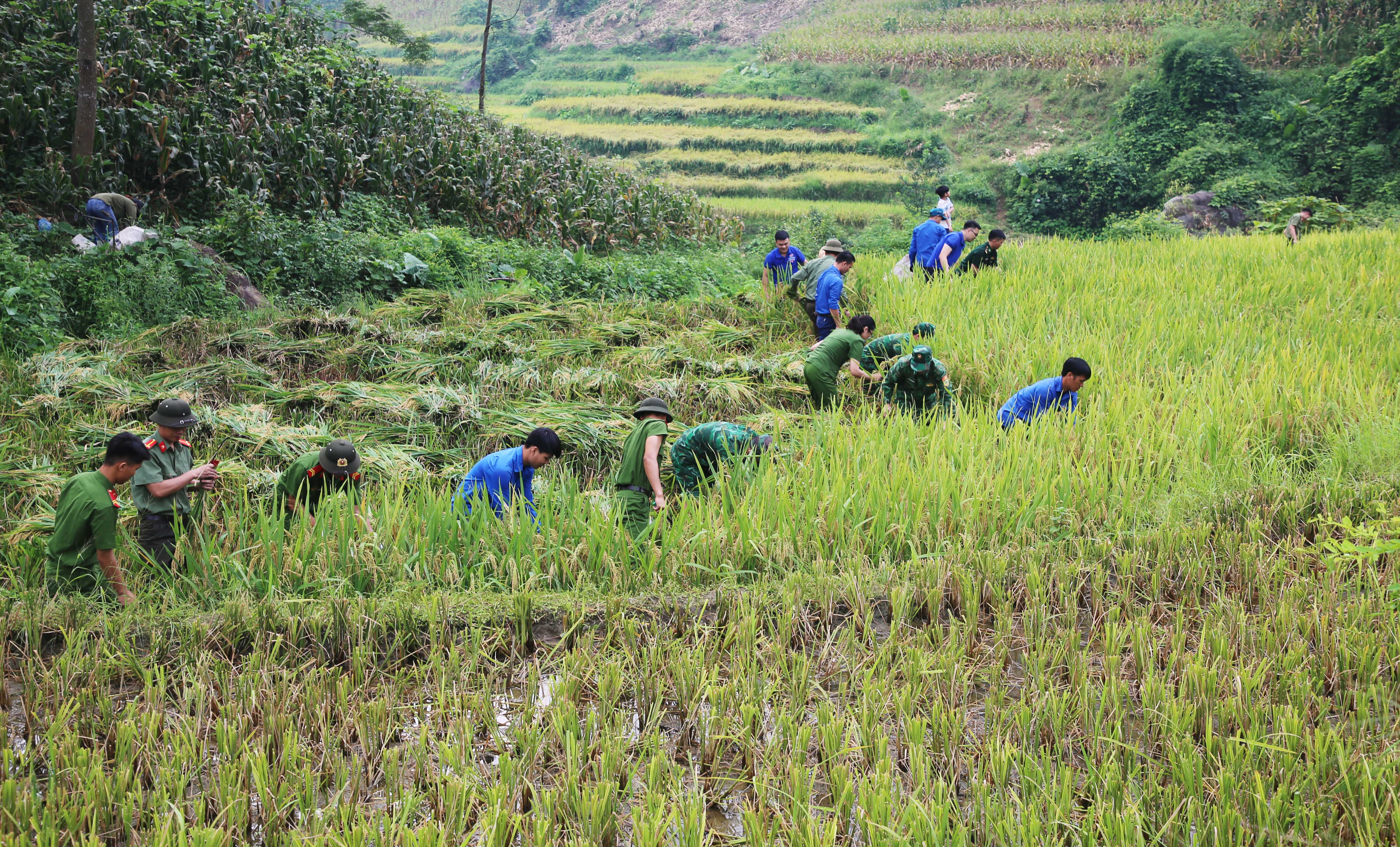 Đoàn viên, thanh niên giúp nông dân thu hoạch lúa. Thắm tình quân dân. Tuyên truyền phòng, chống đuối nước và phòng, chống ma túy cho trẻ em thôn Vi Phái. Cấp căn cước công dân cho người dân xã Bản Qua.