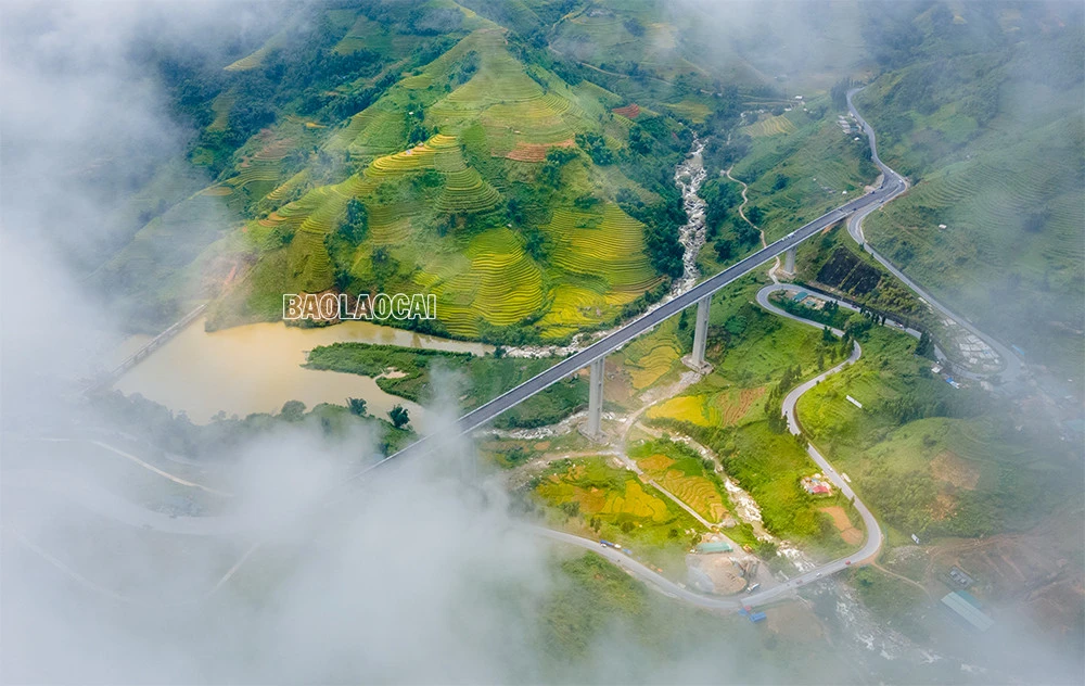 Cầu được xây dựng bằng bê tông cốt thép, bề mặt rộng 14m với 4 làn xe, 5 nhịp liên tục, trong đó, nhịp dài nhất là 132m, được thi công bằng phương pháp dầm hộp đúc hẫng cân bằng. Sau khi tuyến đường này hoàn thành sẽ tạo thuận lợi cho việc đi lại, giao thương, góp phần thúc đẩy phát triển kinh tế - xã hội của tỉnh Lào Cai và khu vực Tây Bắc. Cầu Móng Sến được khởi công từ đầu năm 2020, đến nay các hạng mục đã và đang dần hoàn thành. Do bắc qua thung lũng, lại có độ cao gần 100m nên công trường cầu Móng Sến thường xuyên có mây mù bao phủ, cây cầu như đi xuyên vào mây. Đứng trên cầu phóng tầm mắt ra xa theo nhiều hướng là những thửa ruộng bậc thang tuyệt đẹp. Đây là cây cầu cạn vượt địa hình nối từ khu vực chân dốc lên đỉnh dốc ba tầng - đoạn đường khó đi, quanh co, nguy hiểm nhất trong cung đường từ thành phố Lào Cai lên thị xã Sa Pa. Đến thời điểm hiện tại, công trình đã hoàn thành 99% khối lượng công việc, còn một số hạng mục cuối cùng trước khi đi vào hoạt động như hệ thống đèn chiếu sáng, vạch sơn kẻ đường và thảm đường dẫn 2 bên đầu cầu. Cây cầu cạn cao nhất Việt Nam, có ý nghĩa “then chốt” trong xây dựng tuyến đường nối cao tốc Nội Bài – Lào Cai đến Khu du lịch quốc gia Sa Pa.