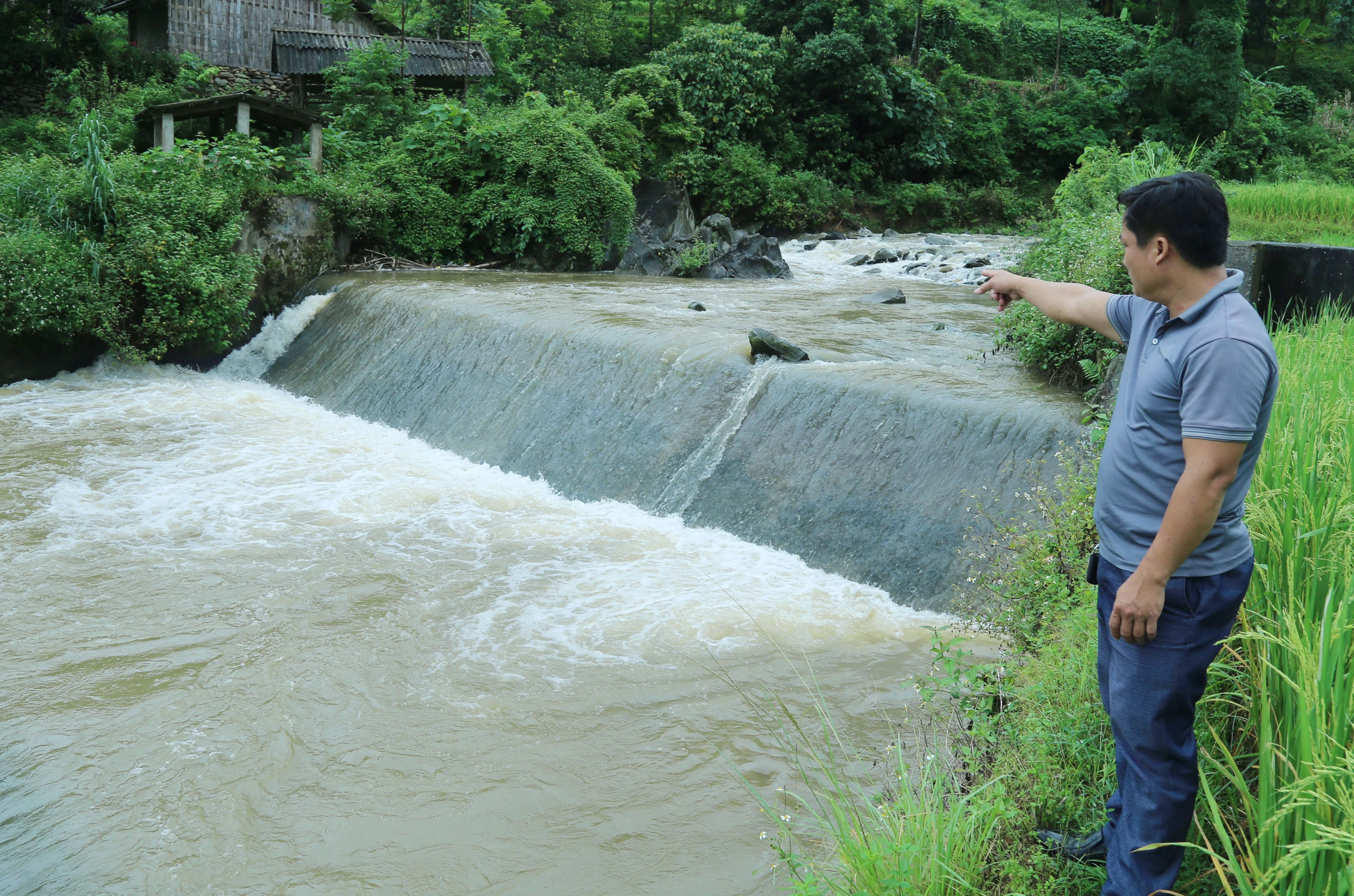 Đập tràn đưa nước về ruộng.