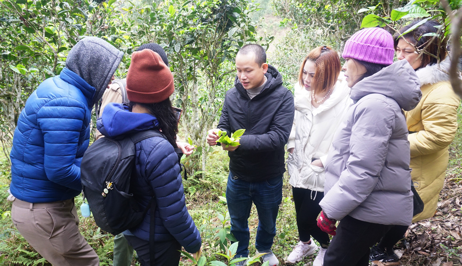 Công ty Trà Tiên Thiên hợp tác với doanh nghiệp chè đến từ Mỹ và Latvia  ảnh 5