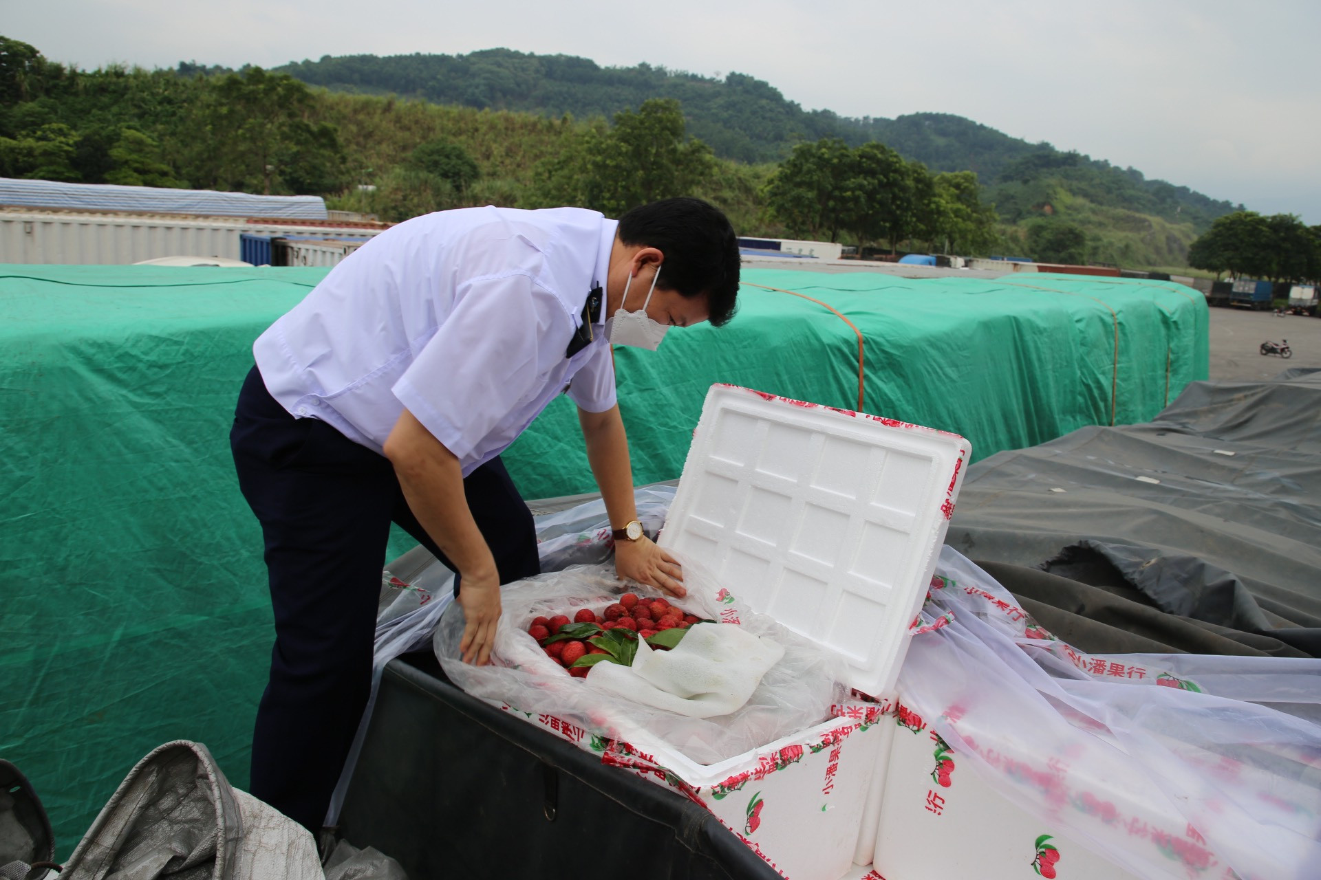 Trung Quốc thí điểm nhập khẩu nông sản qua Cửa khẩu Quốc tế đường bộ số II Kim Thành ảnh 1 Trung Quốc thí điểm nhập khẩu nông sản qua Cửa khẩu Quốc tế đường bộ số II Kim Thành ảnh 1