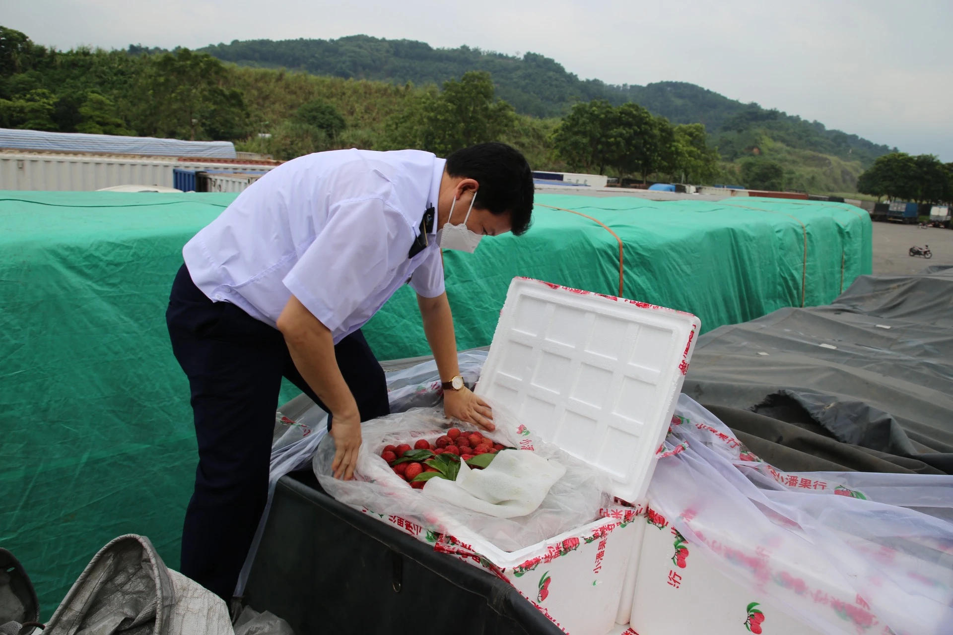 Trung Quốc thí điểm nhập khẩu nông sản qua Cửa khẩu Quốc tế đường bộ số II Kim Thành ảnh 1