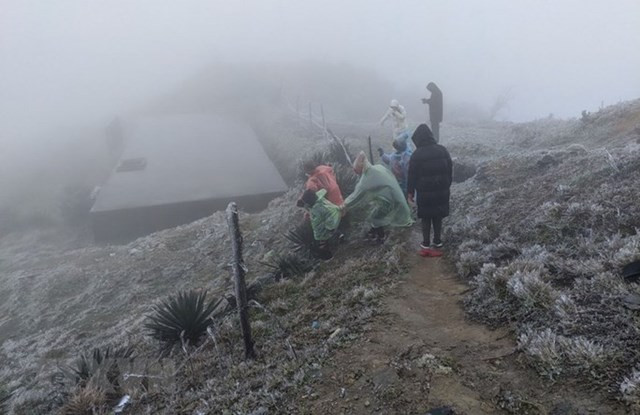 Vùng núi cao khu vực Bắc Bộ xuất hiện băng giá, mưa tuyết. Vùng núi cao khu vực Bắc Bộ xuất hiện băng giá, mưa tuyết.