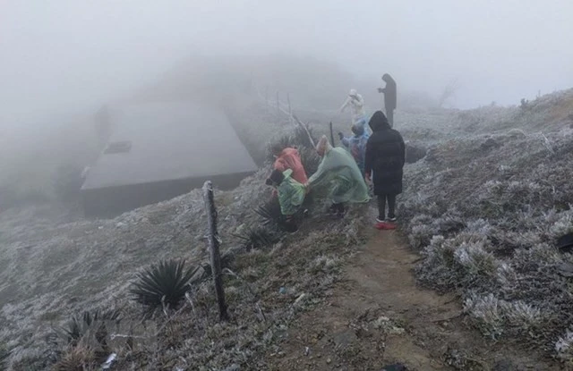 Vùng núi cao khu vực Bắc Bộ xuất hiện băng giá, mưa tuyết.