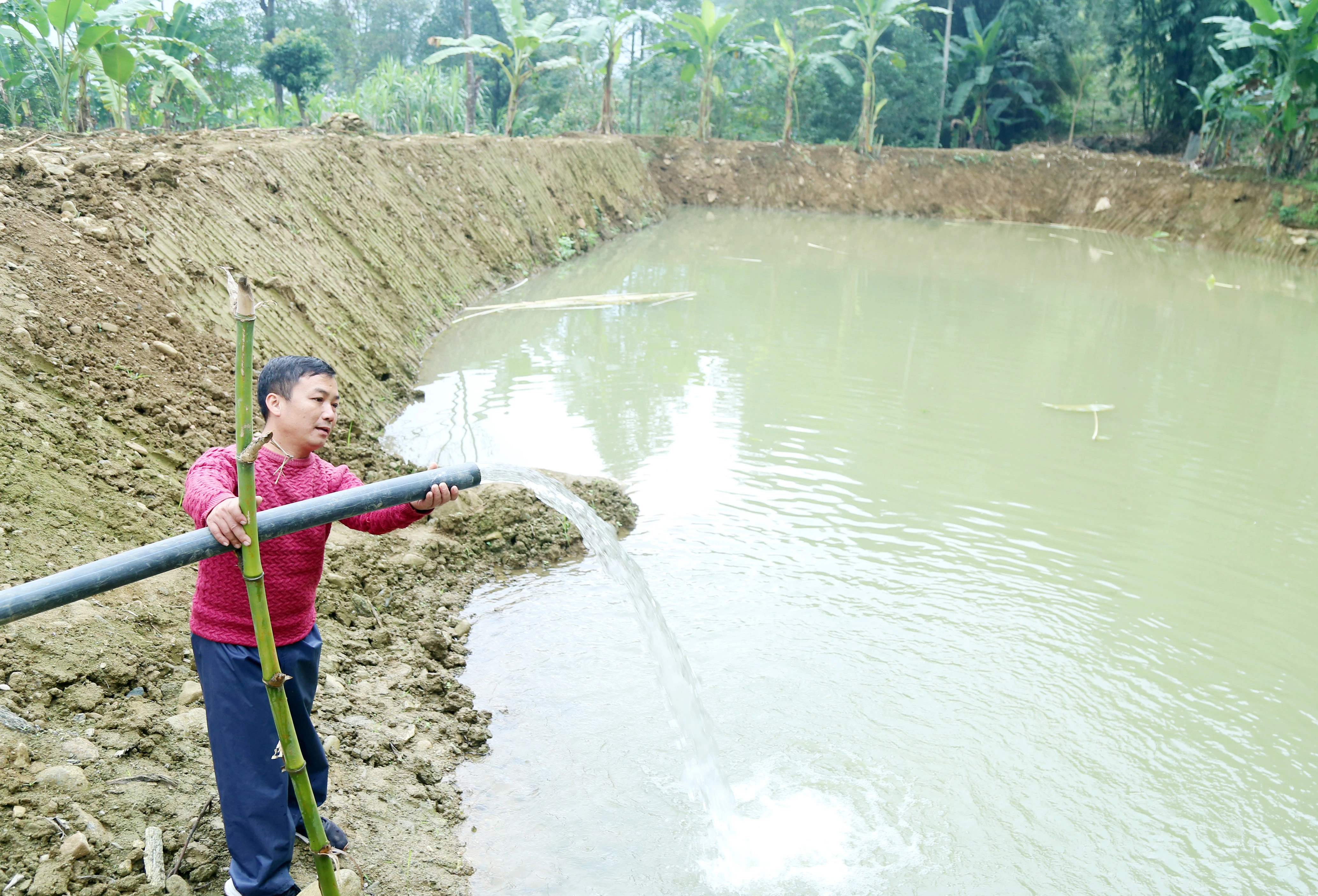 Ông Hoàng Văn Sàng thu lãi khoảng 100 triệu đồng mỗi năm nhờ nuôi cá.