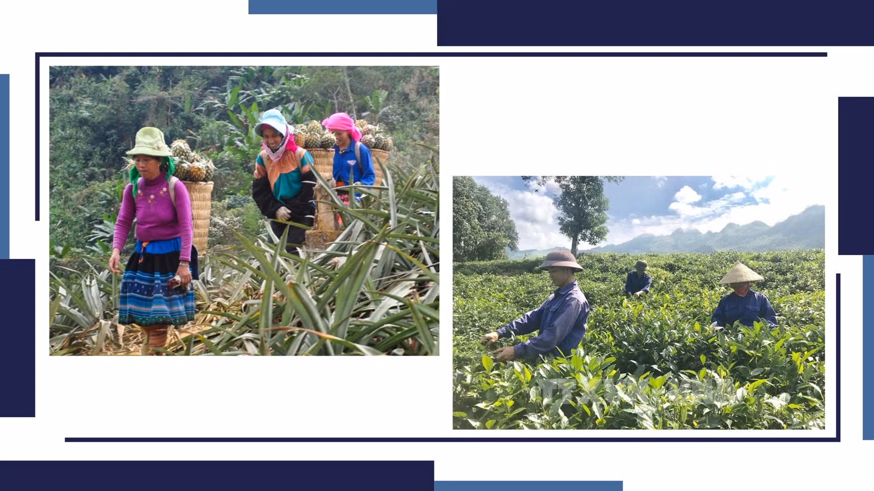 Khi nông dân trở thành công nhân ảnh 4