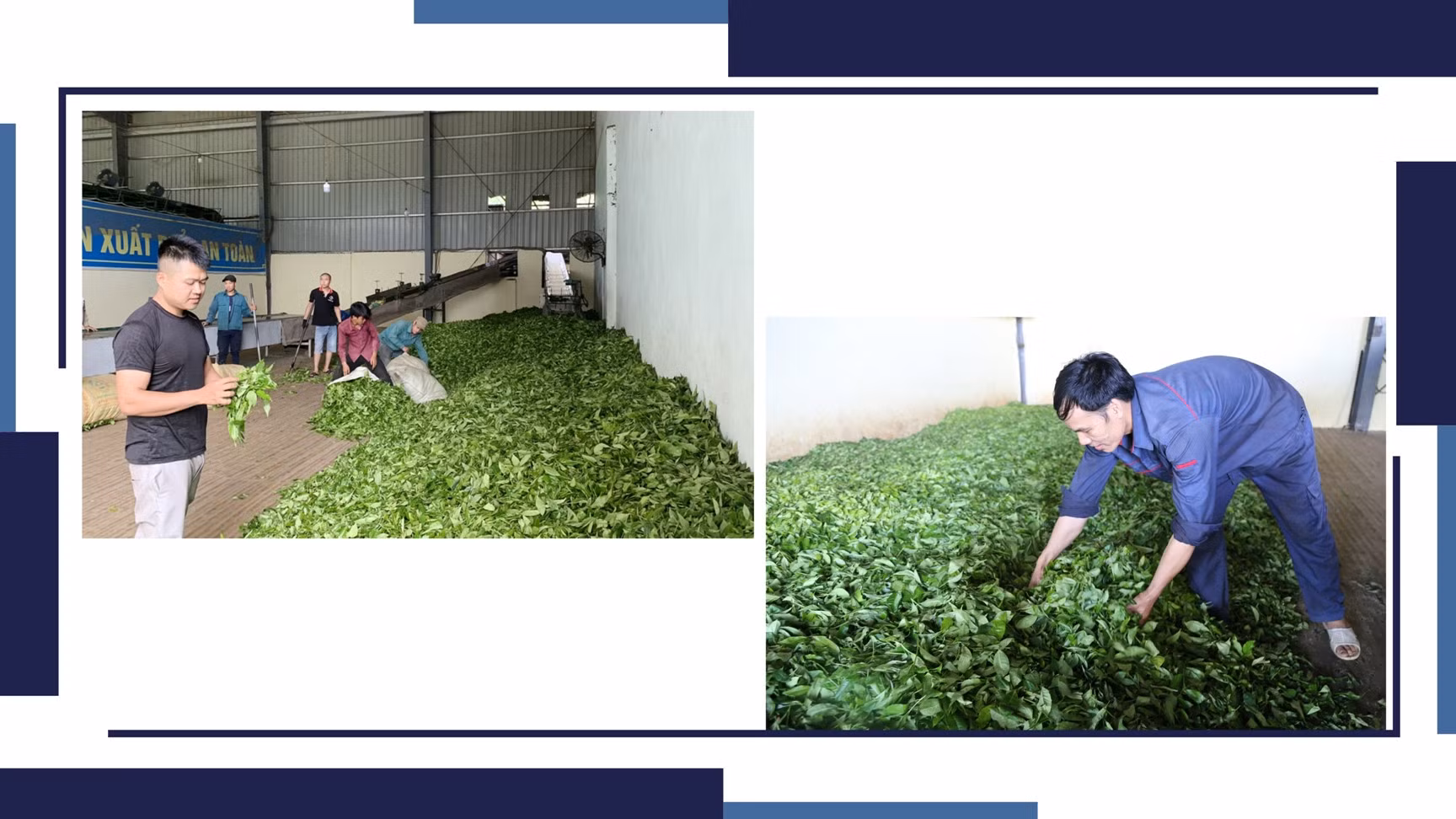 Khi nông dân trở thành công nhân ảnh 7