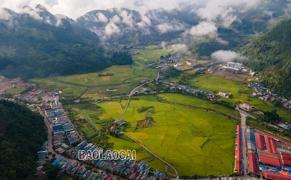 Mùa lúa chín&nbsp;Mường Khương -&nbsp;dải lụa vàng giữa đại ngàn biên ải ảnh 4