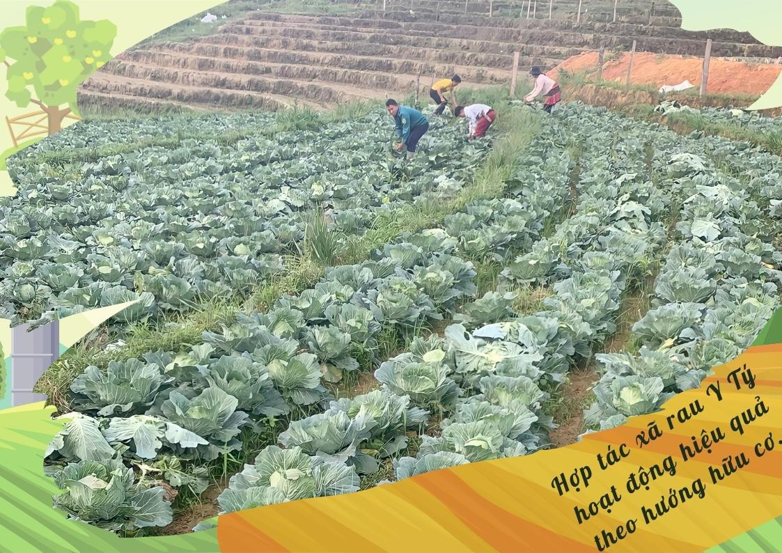 Vật tư nông nghiệp tăng giá: Thách thức mở ra cơ hội ảnh 6 Vật tư nông nghiệp tăng giá: Thách thức mở ra cơ hội ảnh 6