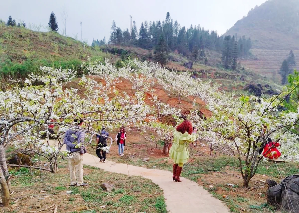 Du khách trại nghiệm tại lễ hội hoa lê huyện Si Ma Cai vào tháng 3/2022.