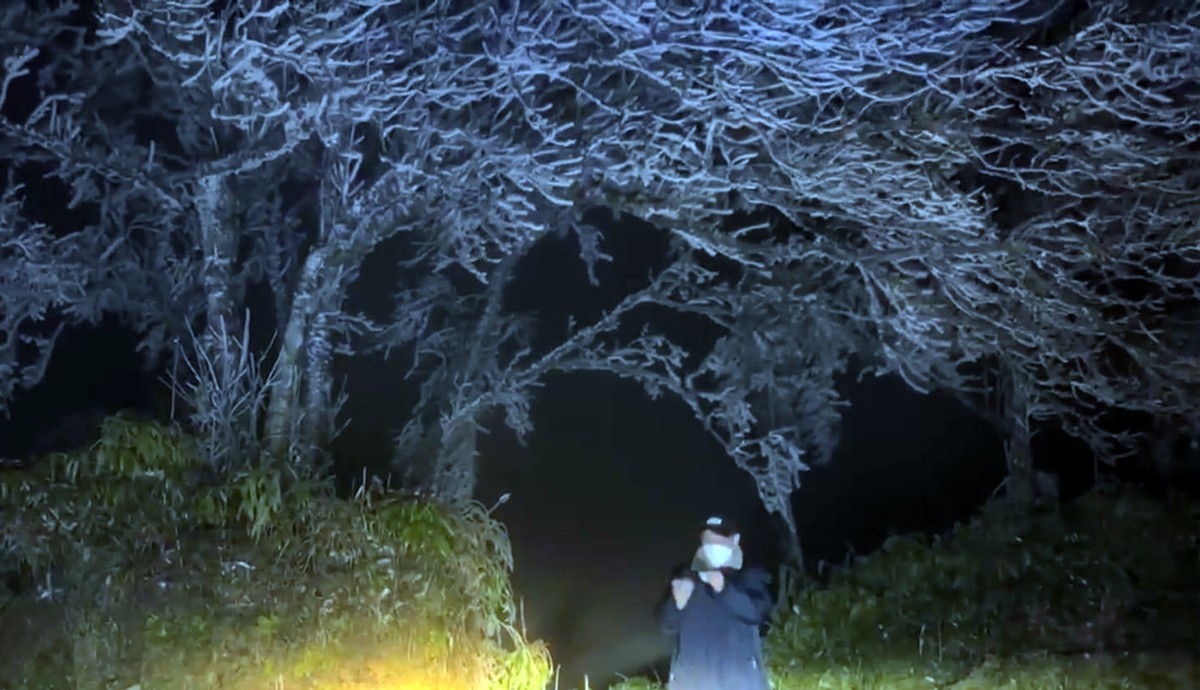 Từ sáng sớm 20/2, băng giá đã phủ kín đỉnh Lảo Thẩn.