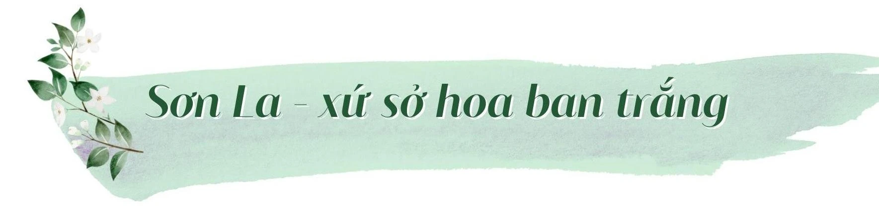 Tây Bắc đẹp đến nao lòng ảnh 20 Tây Bắc đẹp đến nao lòng ảnh 20