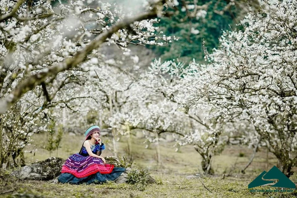 Tây Bắc đẹp đến nao lòng ảnh 22 Tây Bắc đẹp đến nao lòng ảnh 22