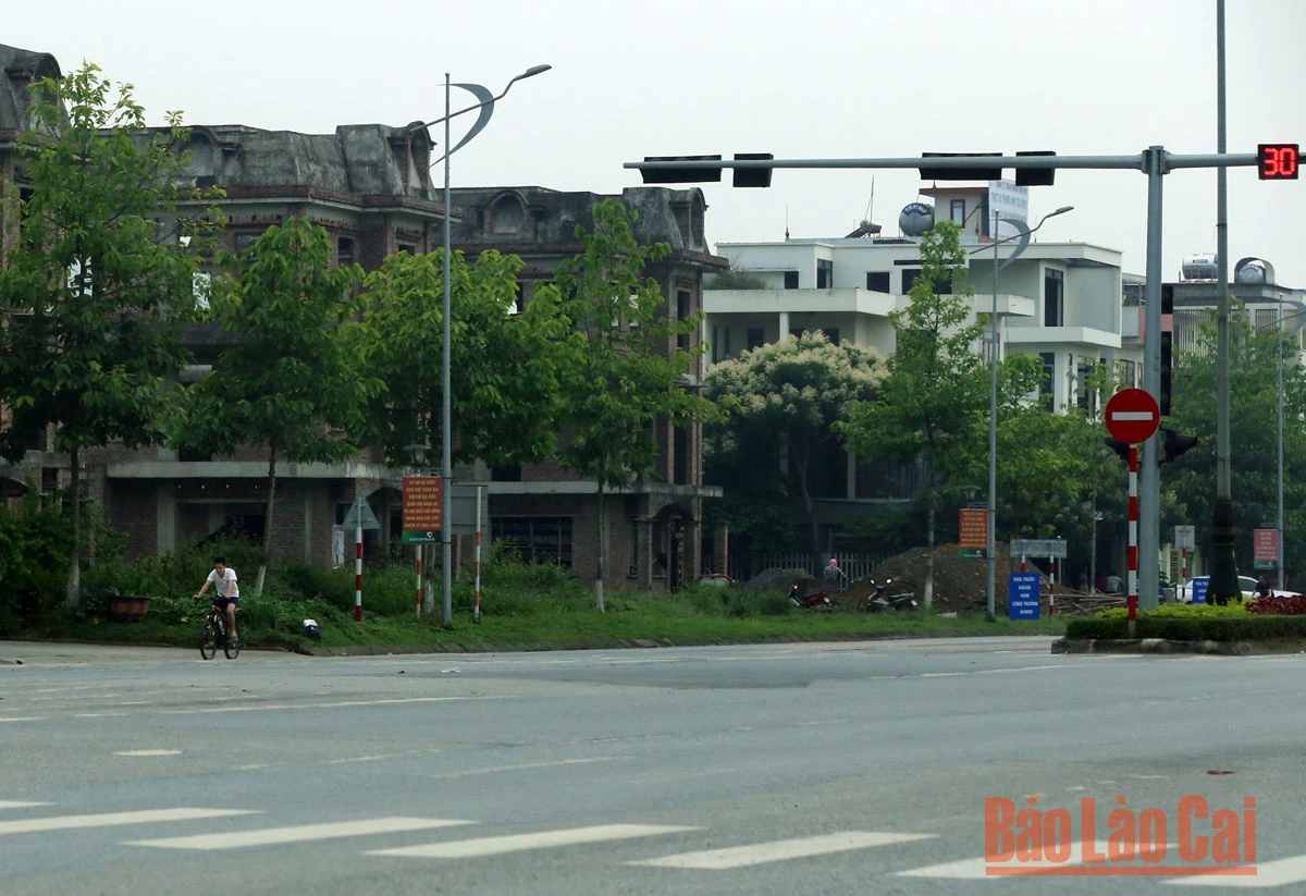 Đạp xe thể thao: Đừng nghĩ “đi sao cũng được” ảnh 3