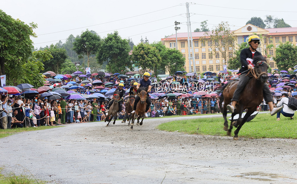 Kịch tính Chung kết Giải đua “Vó ngựa Cao nguyên trắng Bắc Hà mùa hè năm 2022” ảnh 7