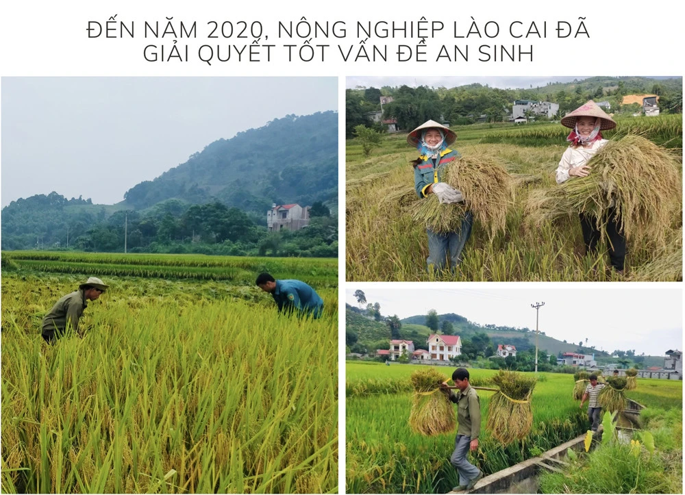 Xu thế tất yếu ảnh 1