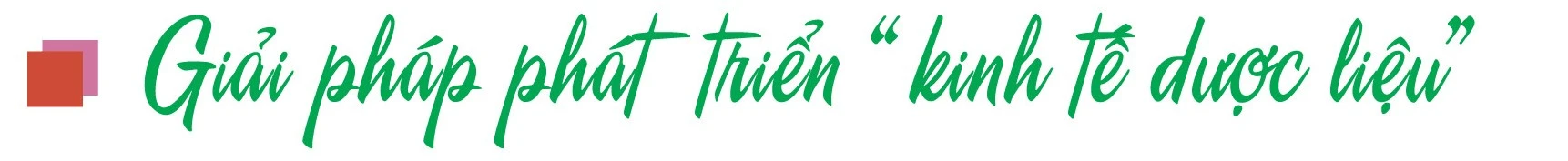 Chuyển từ “trồng dược liệu” sang “kinh tế dược liệu” ảnh 3