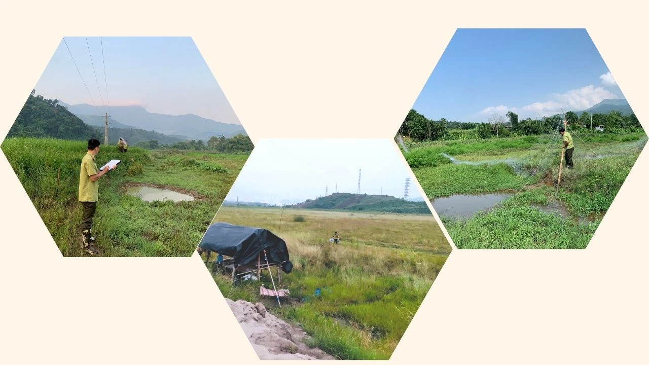 Lực lượng chức năng các địa phương tăng cường tuần tra, kiểm soát, kịp thời ngăn chặn và xử lý các hành vi săn, bắt chim di cư, chim hoang dã.