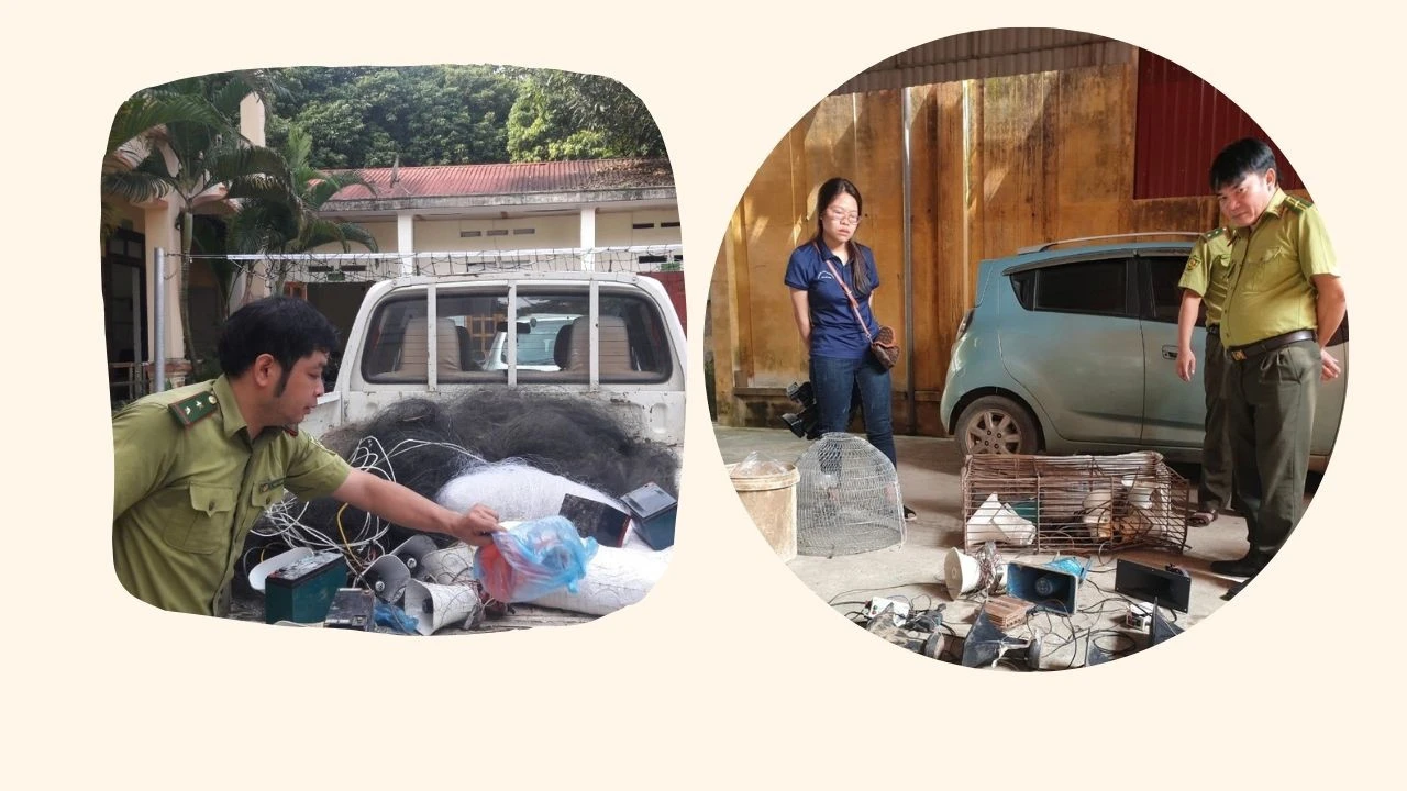 Nhiều dụng cụ bắt, bẫy chim bị thu giữ.