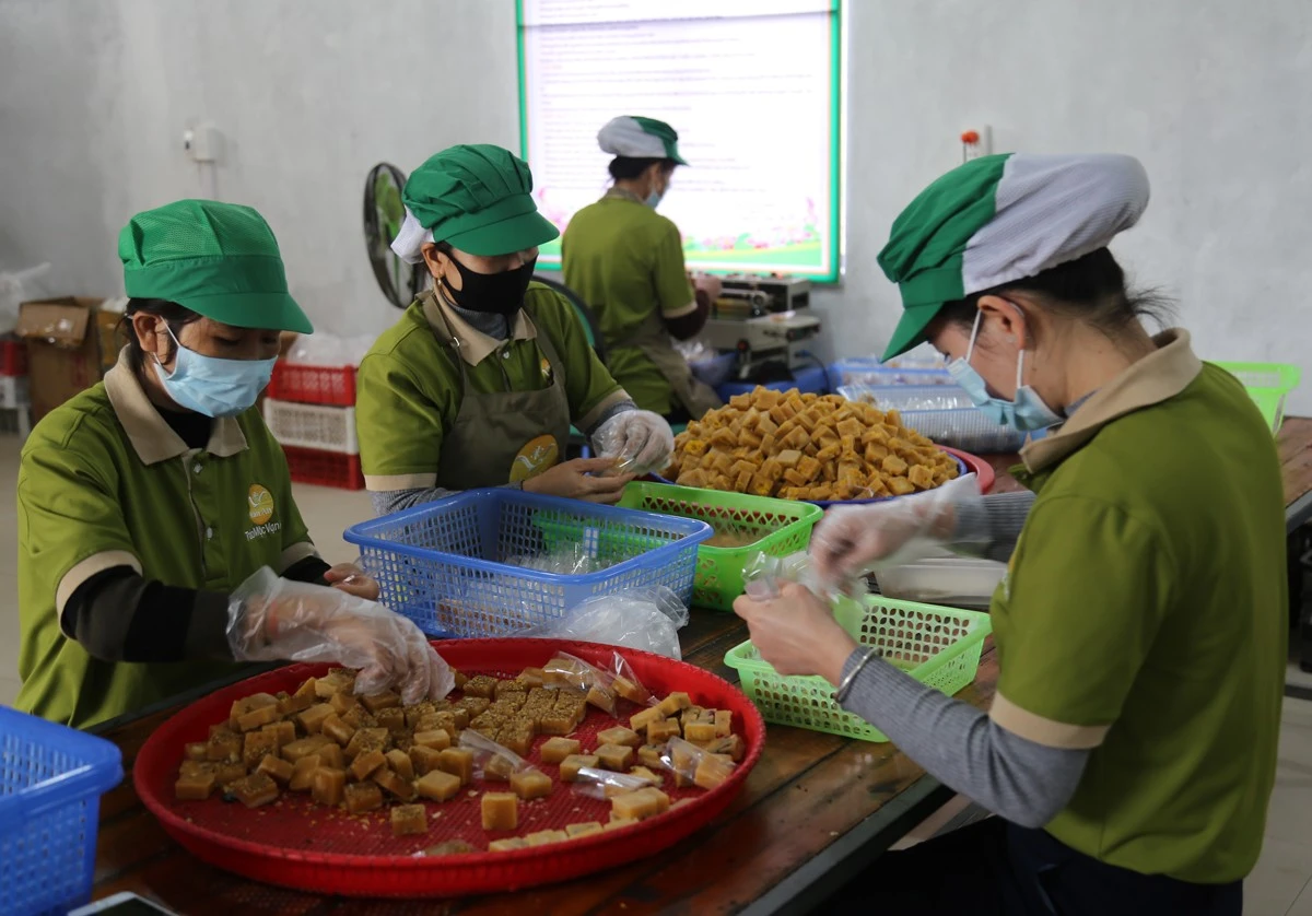 Khởi nghiệp từ trà thảo mộc ảnh 3