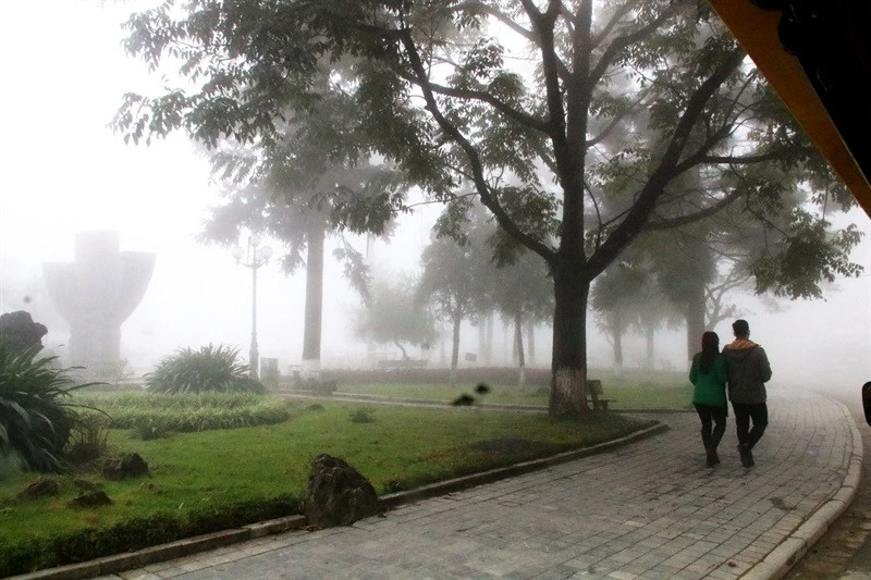 Đi trong mây mù Sa Pa ảnh 1