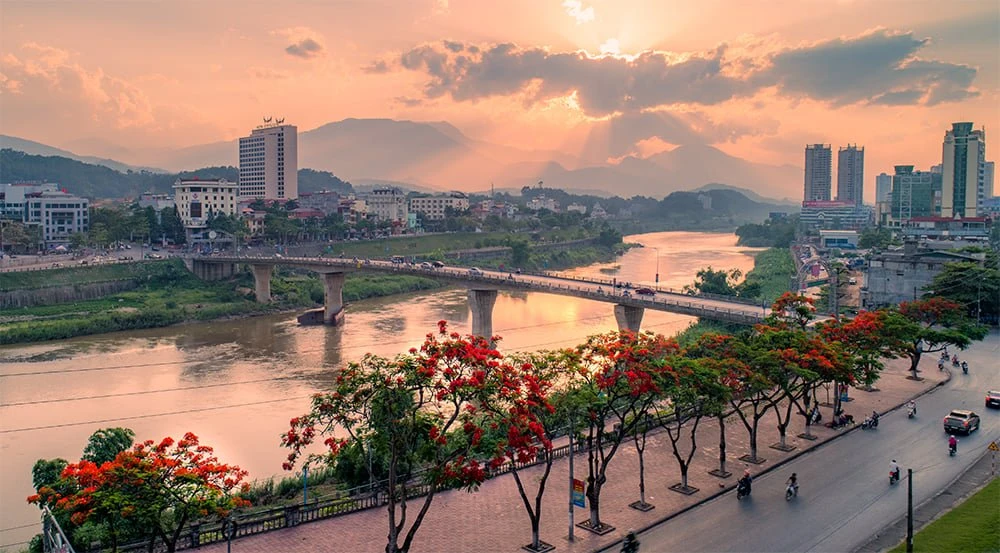 Hoa phượng khoe sắc dọc các tuyến phố bên bờ sông Hồng ở thành phố Lào Cai. Ảnh: Ngọc Bằng