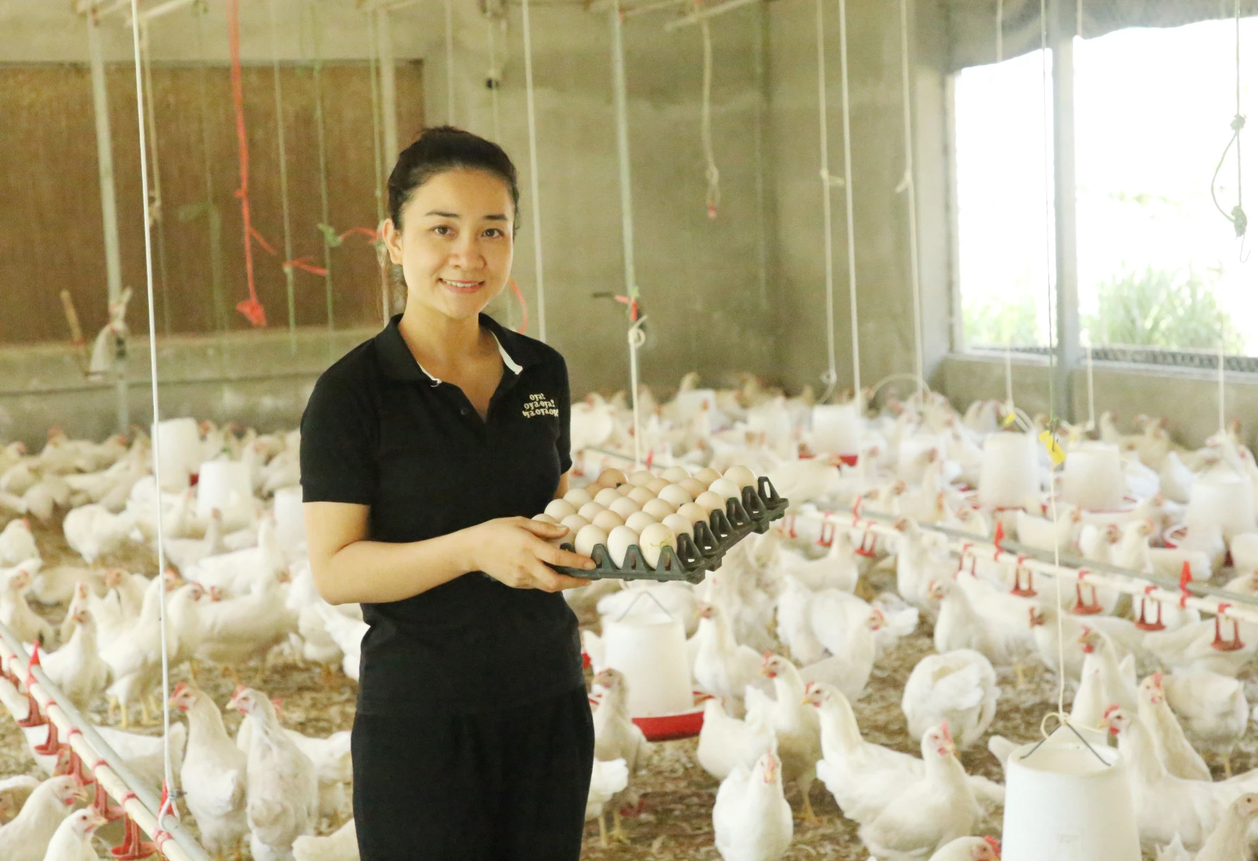 Sản phẩm trứng gà thảo mộc được người tiêu dùng ưa chuộng.