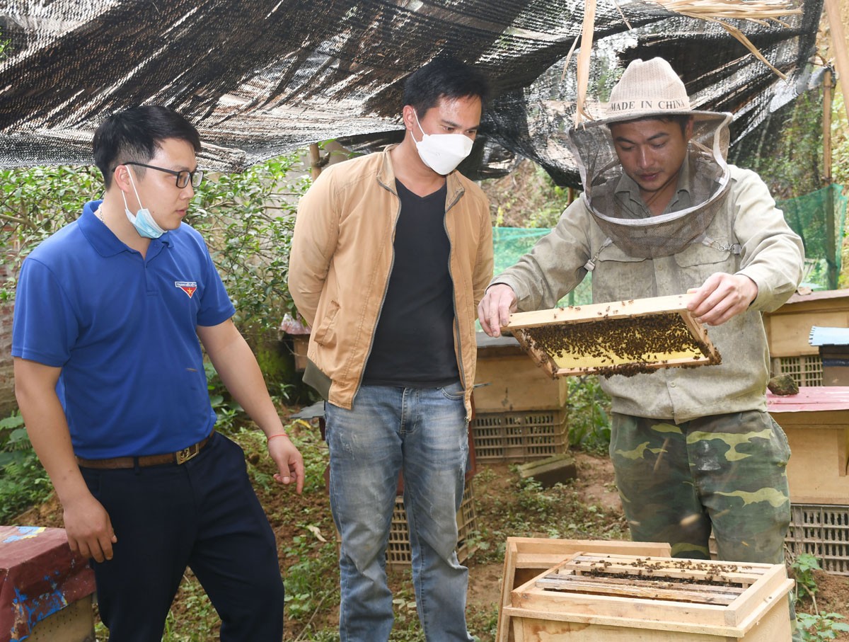 Anh Nguyễn Minh Khôi chia sẻ về mô hình nuôi ong lấy mật. Anh Nguyễn Minh Khôi chia sẻ về mô hình nuôi ong lấy mật.