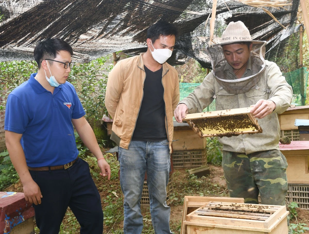 Anh Nguyễn Minh Khôi chia sẻ về mô hình nuôi ong lấy mật.