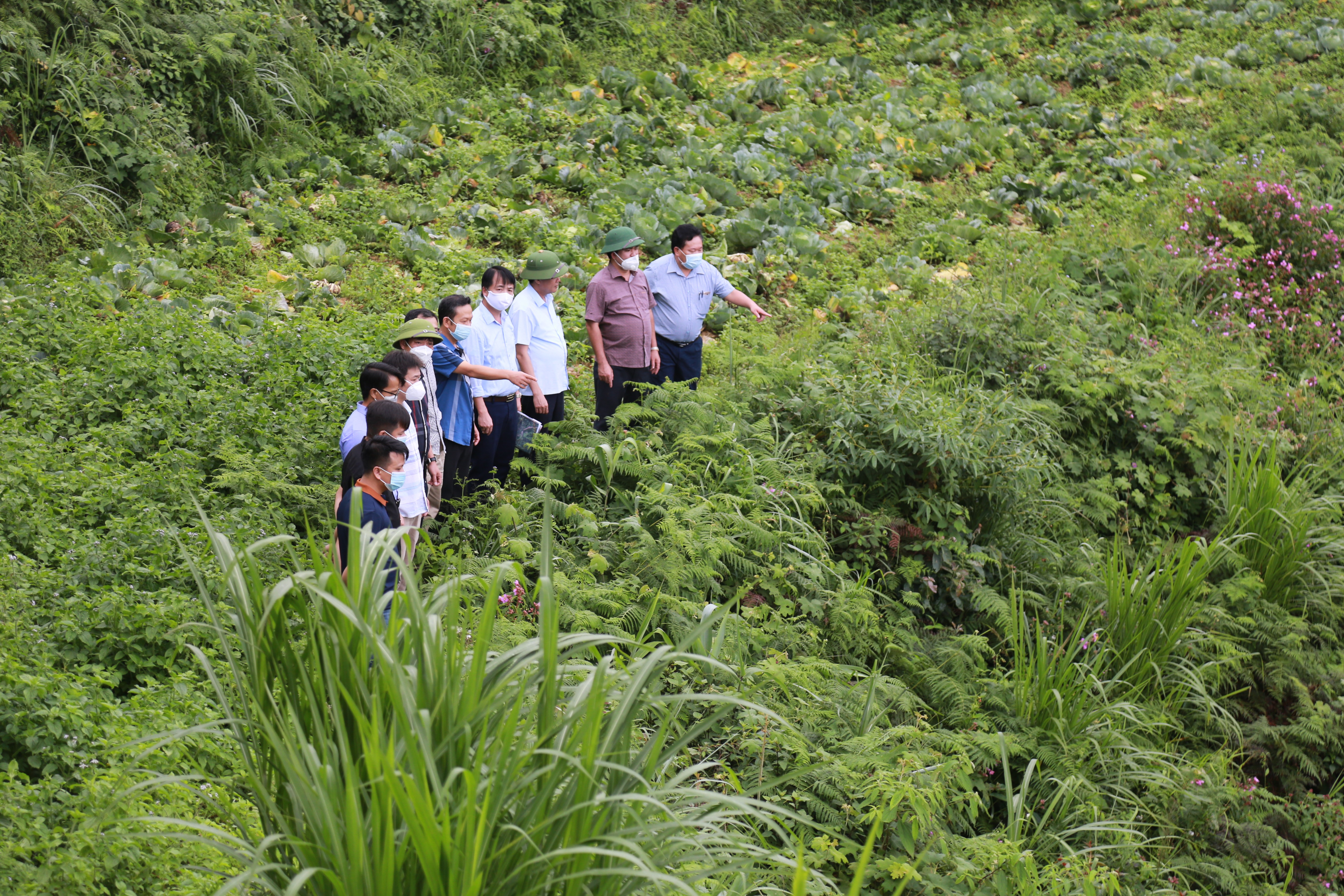 Chặng đường hoàn thiện quy hoạch tỉnh Lào Cai thời kỳ 2021 - 2030 ảnh 5