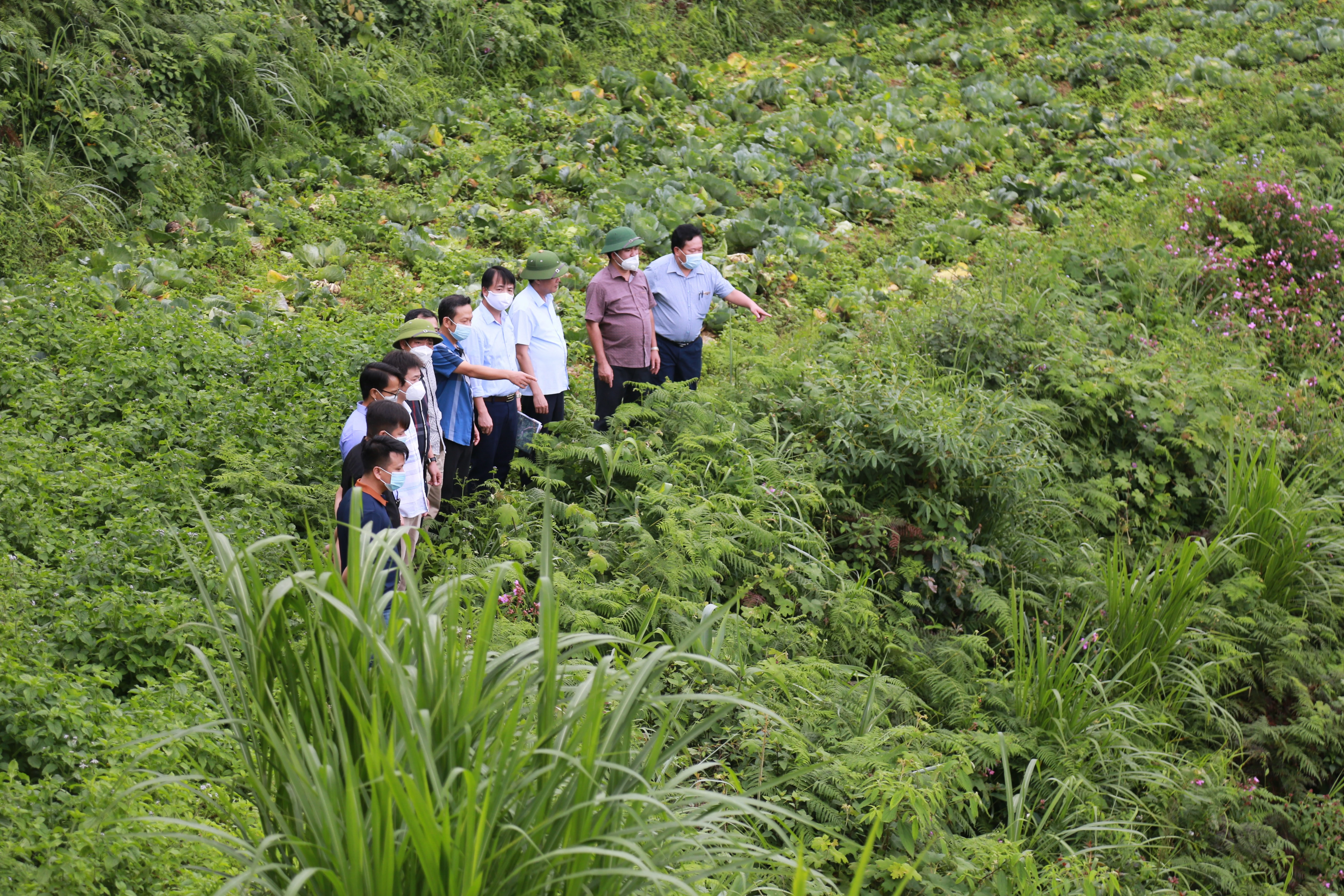 Chặng đường hoàn thiện quy hoạch tỉnh Lào Cai thời kỳ 2021 - 2030 ảnh 5